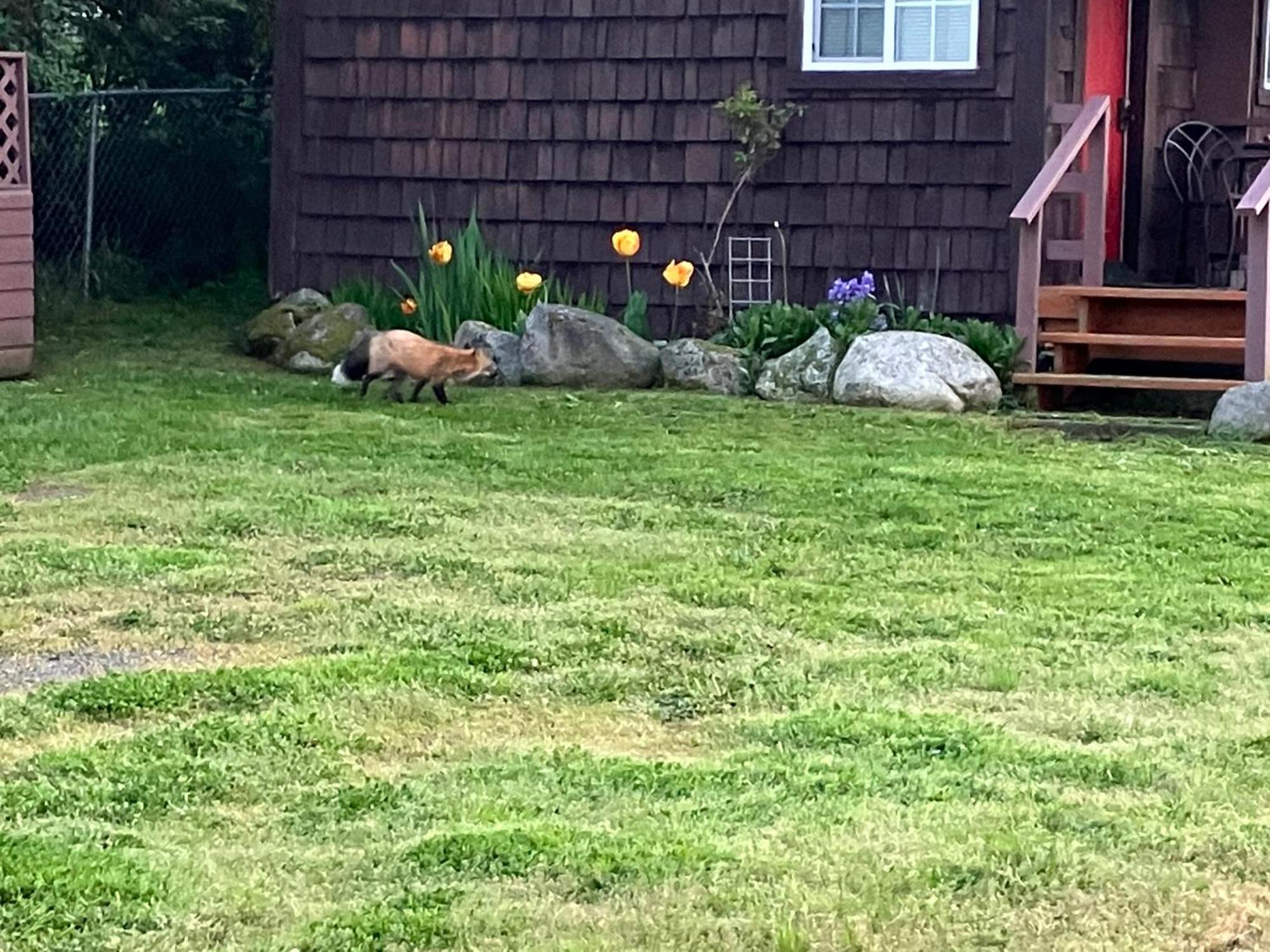Jones Cabin Friday Harbor Ngoại thất bức ảnh